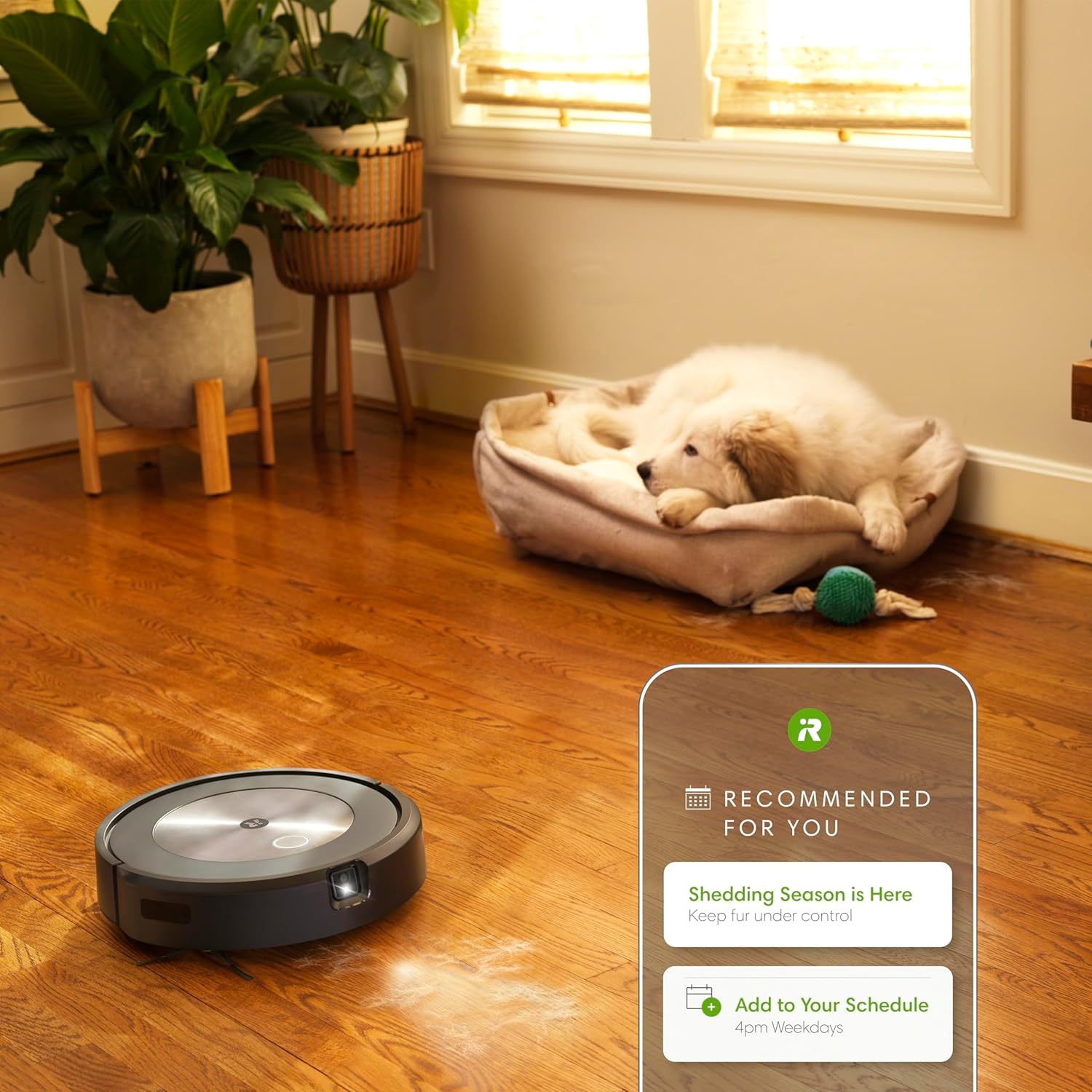roomba j7+